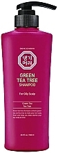 Шампунь с зеленым чайным деревом для жирной кожи головы - Daeng Gi Meo Ri Green Tea Tree Shampoo for Oily Scalp — фото N1