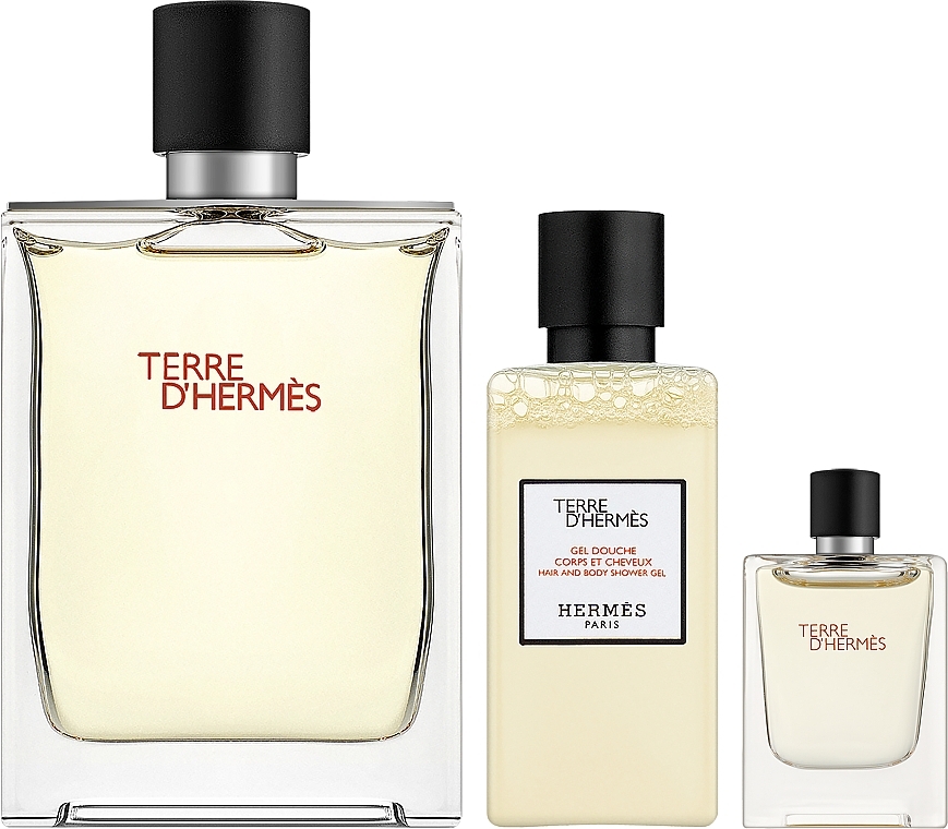 Hermes Terre d’Hermes - Набор (edt/100ml + sh/gel/40ml + edt/5ml) — фото N1