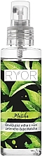 Парфумерія, косметика Освіжальний міст для обличчя із зеленим чаєм - Ryor Matcha