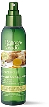 Духи, Парфюмерия, косметика Спрей для волос - Bottega Verde Stimulating And Strengthening After-Shampoo Lotion