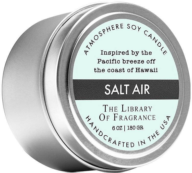 Demeter Fragrance The Library of Fragrance Salt Air Atmosphere Soy Candle - Ароматическая свеча — фото N1