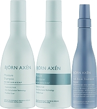 Набор - Bjorn Axen Bon Voy X (smp/250ml + cond/250ml +h/cr/125ml + bag/1pcs) — фото N2