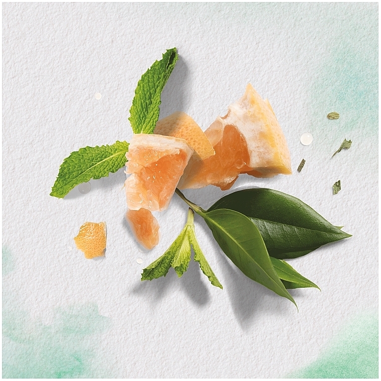 Бальзам-ополіскувач "Білий грейпфрут і м'ята моса" - Herbal Essences White Grapefruit & Mosa Mint Rinse Conditioner — фото N5