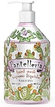 Парфумерія, косметика Рідке мило для рук - Rudy Pantelleria Hand Wash