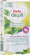 Восковые полоски для лица "Мята и зеленый чай" - Byly Depil Mint And Green Tea Hair Removal Strips Face — фото N1