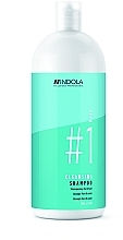 Шампунь для жирной кожи головы - Indola Innova Specialist Cleansing Shampoo — фото N2