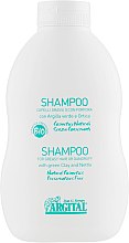 Шампунь для жирных волос и против перхоти - Argital Shampoo For Greasy Hair And Anti-Dandruff — фото N3