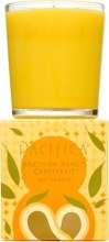 Парфумерія, косметика Соєва свічка - Pacifica Brazilian Mango Grapefruit Soy Candle