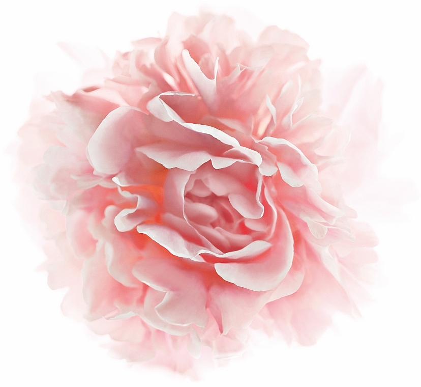 Денний крем "Троянда" - L`Oreal Age Perfect Neo-Calcium Cream — фото N4