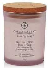 Духи, Парфюмерия, косметика Ароматическая свеча "Joy & Laughter" - Chesapeake Bay Candle