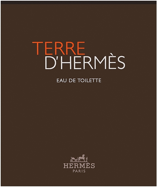 Hermes Terre dHermes - Набор (edt/100ml + sh/g/80ml) — фото N1