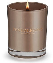 Ароматична свічка у склянці - Penhaligon's Anbar Stone Candle — фото N2