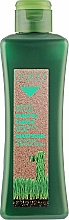 Парфумерія, косметика Шампунь для жирної шкіри голови - Salerm Biokera Specific Oil Hair Shampoo