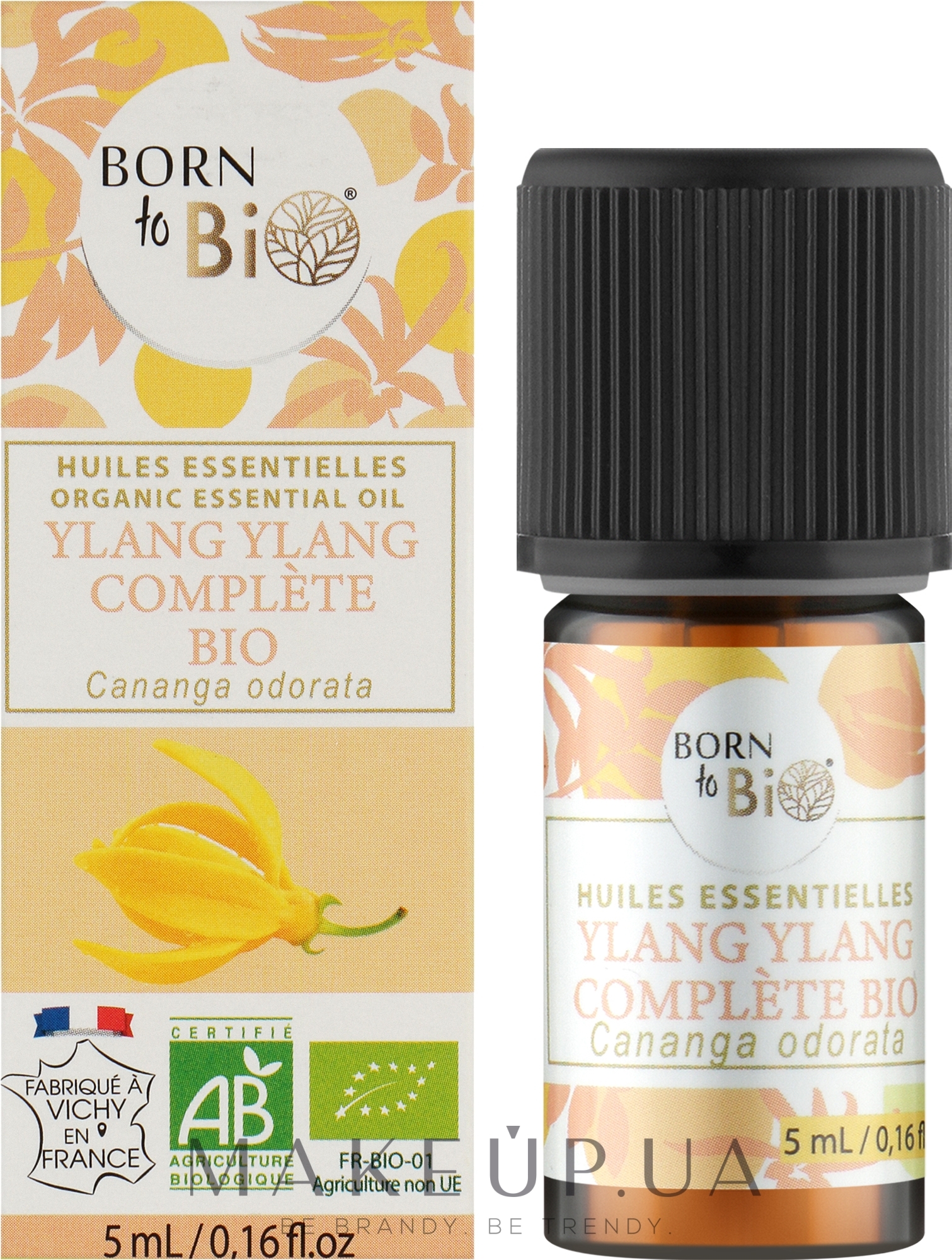 Organic Complete Ylang-Ylang Essential Oil - Born to Bio - Born to Bio