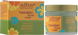 Маска для обличчя з ензимами - Alba Botanica Natural Hawaiian Facial Scrub Pore Purifying Pineapple Enzyme — фото N2