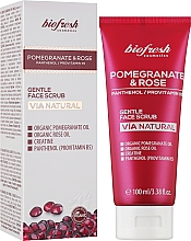 Ніжний скраб для обличчя "Гранат і троянда" - BioFresh Via Natural Pomergranate & Rose Gentle Face Scrub — фото N2