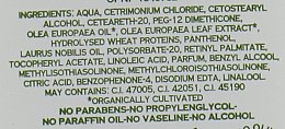 Кондиционер-тоник для волос с лавровым маслом, органическим оливковым маслом и органическим экстрактом листьев оливы - Athena`s Treasures — фото N3
