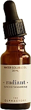 Водорастворимое масло - Ambientair The Olphactory Radiant Spiced Tangerine Water Soluble Oil  — фото N1