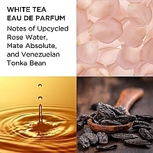 Elizabeth Arden White Tea - Набор (edp/100ml + b/w/cr/100ml) — фото N4