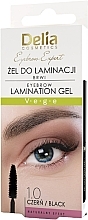 Гель для ламинирования бровей - Delia Eyebrow Expert Eyebrow Laminztion Gel — фото N1