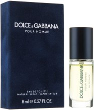 Dolce & Gabbana Pour Homme - Туалетная вода (мини) — фото N2