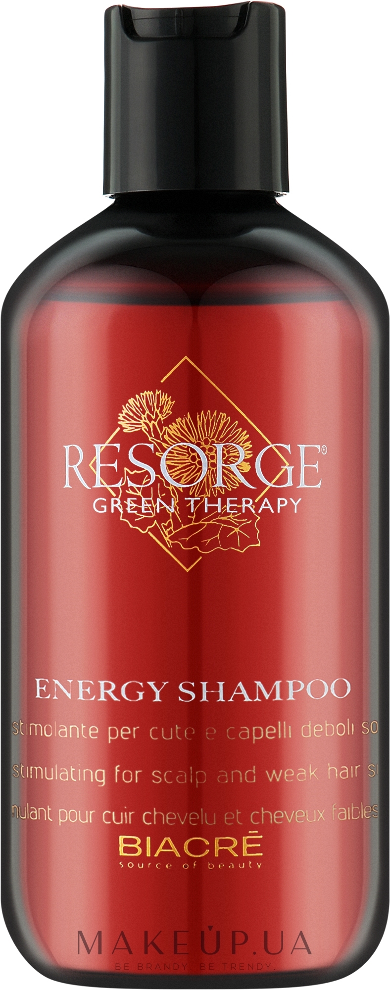 Стимулирующий шампунь от выпадения волос - Biacre Resorge Green Therapy Energy Shampoo  — фото 250ml