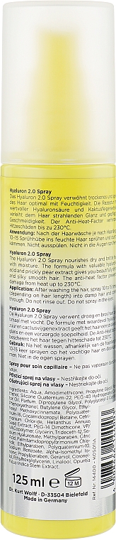 Спрей для сухих волос - Alcina Hyaluron 2.0 Spray — фото N4