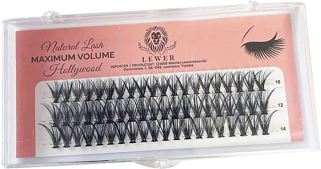 Накладные ресницы в пучках, 10 мм, 12 мм , 14 мм, C, 60 шт. - Lewer Natural Lash Maximum Volume Hollywood — фото N1