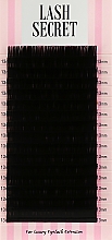 Накладные ресницы, черные, 16 линий (один размер, 0,07, D, 13) - Lash Secret — фото N1