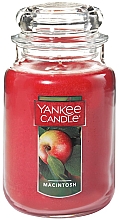 Парфумерія, косметика Ароматична свічка - Yankee Candle Macintosh