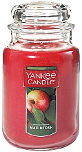 Ароматична свічка - Yankee Candle Macintosh — фото N1