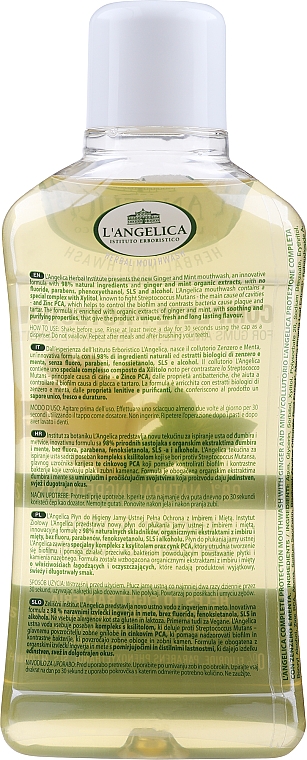 Ополіскувач для порожнини рота "Імбір та м'ята"  - L'Angelica Herbal Mouthwash Complete Protection Ginger & Mint — фото N2