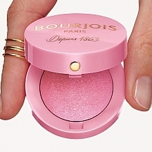 Румяна - Bourjois Little Round Pot Blusher — фото N7