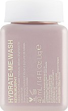 Парфумерія, косметика Шампунь для інтенсивного зволоження волосся - Kevin Murphy Hydrate-Me Wash Shampoo (міні)