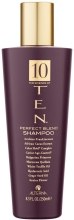 Духи, Парфюмерия, косметика Шампунь "Совершенная формула" - Alterna TEN Perfect Blend Shampoo