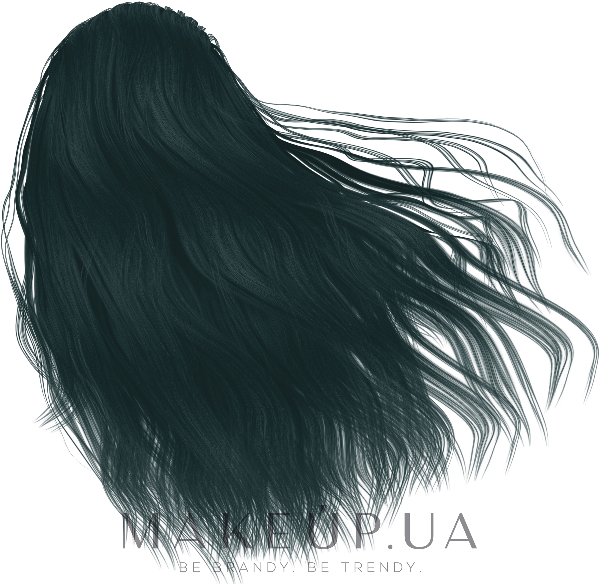 Крем-краска для волос - RR Line Hair Colouring Cream — фото 1/10 - Иссиня-черный
