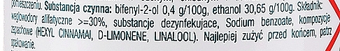 Антибактериальный освежитель для обуви - Sanytol — фото N3