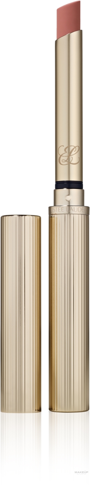 Матовая помада для губ - Estee Lauder Pure Color Explicit Silk Matte Lipstick  — фото 101