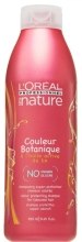 Парфумерія, косметика Шампунь для фарбованого волосся - L'Oreal Professionnel Nature Couleur Botanique Protecting Shampoo