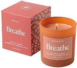 Ароматическая свеча - Paddywax Wellness Breathe — фото N1