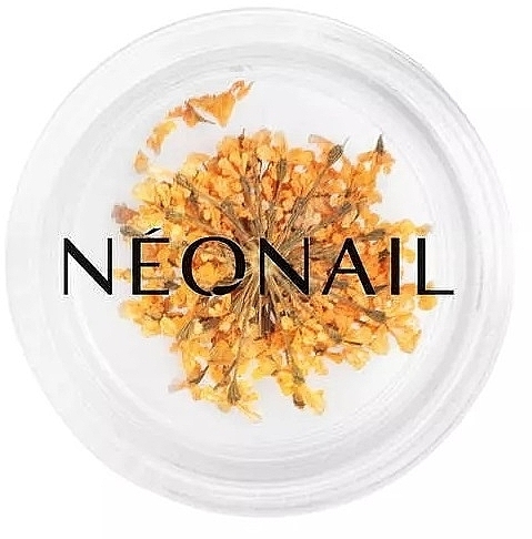 Сухоцвіти для дизайну нігтів - NeoNail Professional — фото N1