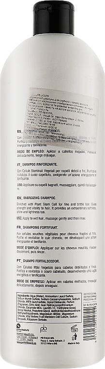 Шампунь "Укрепляющий" - Design Look Energy Care Shampoo — фото N4