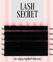 Накладні вії, чорні, мікс, 6 ліній (0.15, D, (10,11,12)) - Lash Secret — фото N1