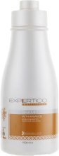 Парфумерія, косметика Шампунь на основі арганової олії - Tico Professional Expertico Argan Oil Shampoo