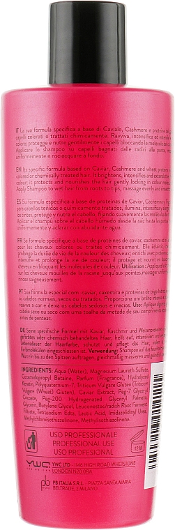 Шампунь для фарбованого волосся - Artistic Hair Color Care Shampoo — фото N2
