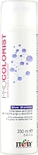 Парфумерія, косметика Шампунь для нейтралізації жовтизни - Itely Hairfashion Pro Colorist Silver