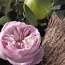 Chloé Rose Naturelle Intense - Парфюмированная вода — фото N4