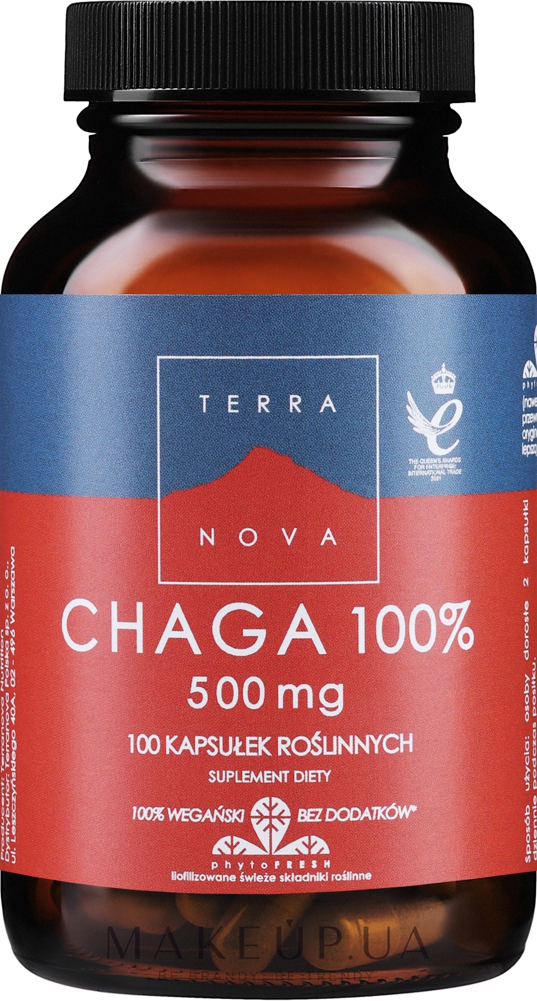 Харчова добавка - Terranova Chaga 500 mg Complex — фото 100шт