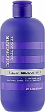 УЦЕНКА Шампунь нейтрализующий желтизну - Elgon Colorcare Silver Shampoo * — фото N1