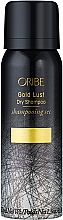 Сухий шампунь для волосся "Розкіш золота" - Oribe Gold Lust Dry Shampoo — фото N5